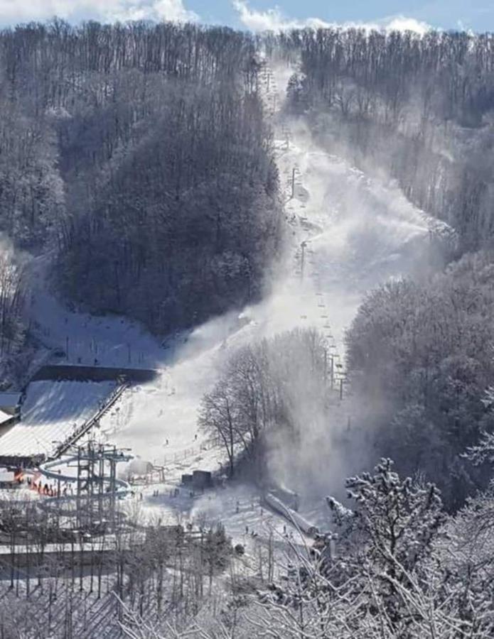 Mountain Villa Magnificent Views - 2 Pools, Fireplace & Hot Tub Gatlinburg Eksteriør bilde